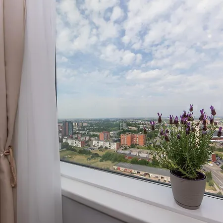 Place On The Apartment